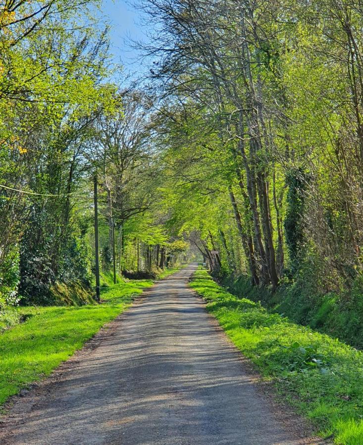 Le Clos Joly 14 Saint-Gâtien-des-Bois Dış mekan fotoğraf