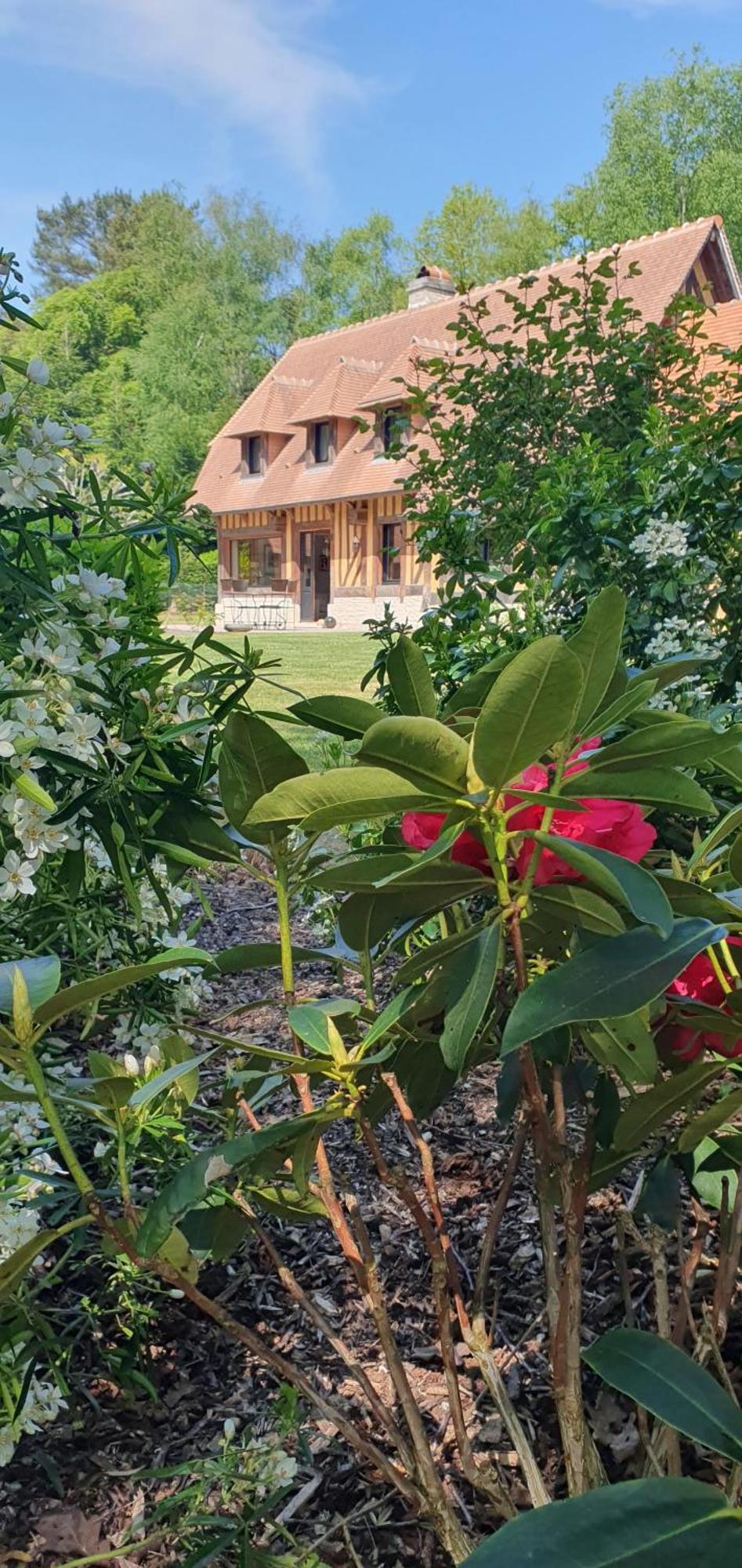 Le Clos Joly 14 Saint-Gâtien-des-Bois Dış mekan fotoğraf